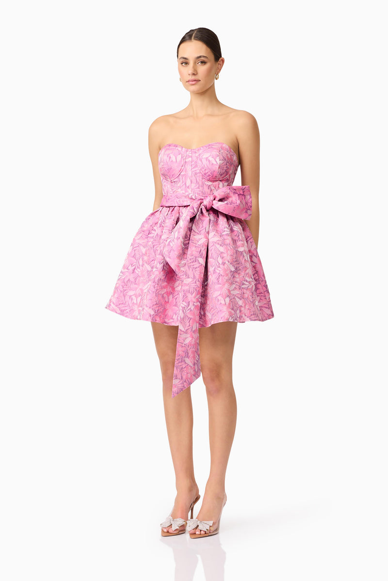 Aline Mini Dress