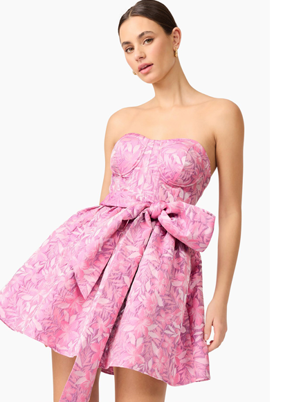 Aline Mini Dress